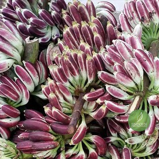 Chuối hột rừng khô (gói 1kg) -VTT071