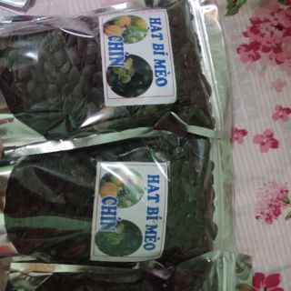 Hạt bí đen