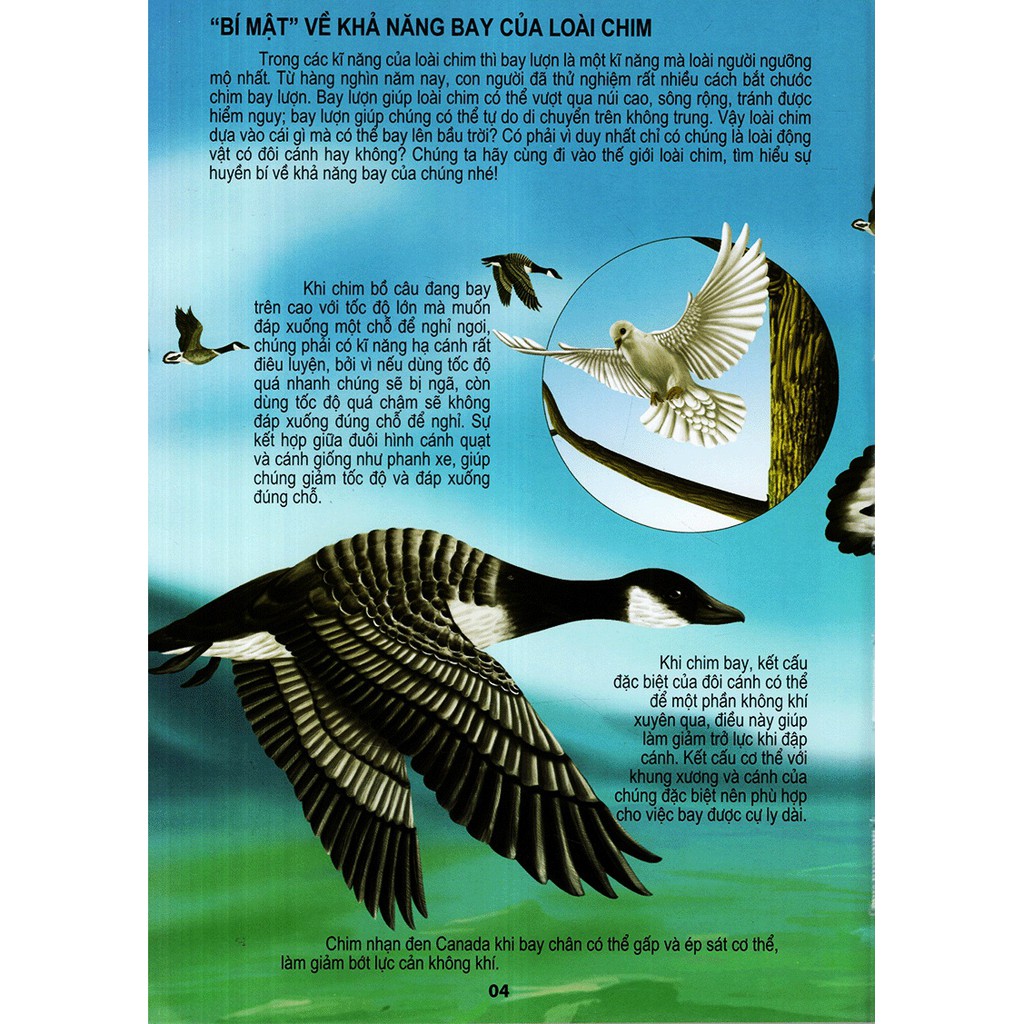 Sách - Thế Giới Động Vật Kì Thú - Thế Giới Loài Chim