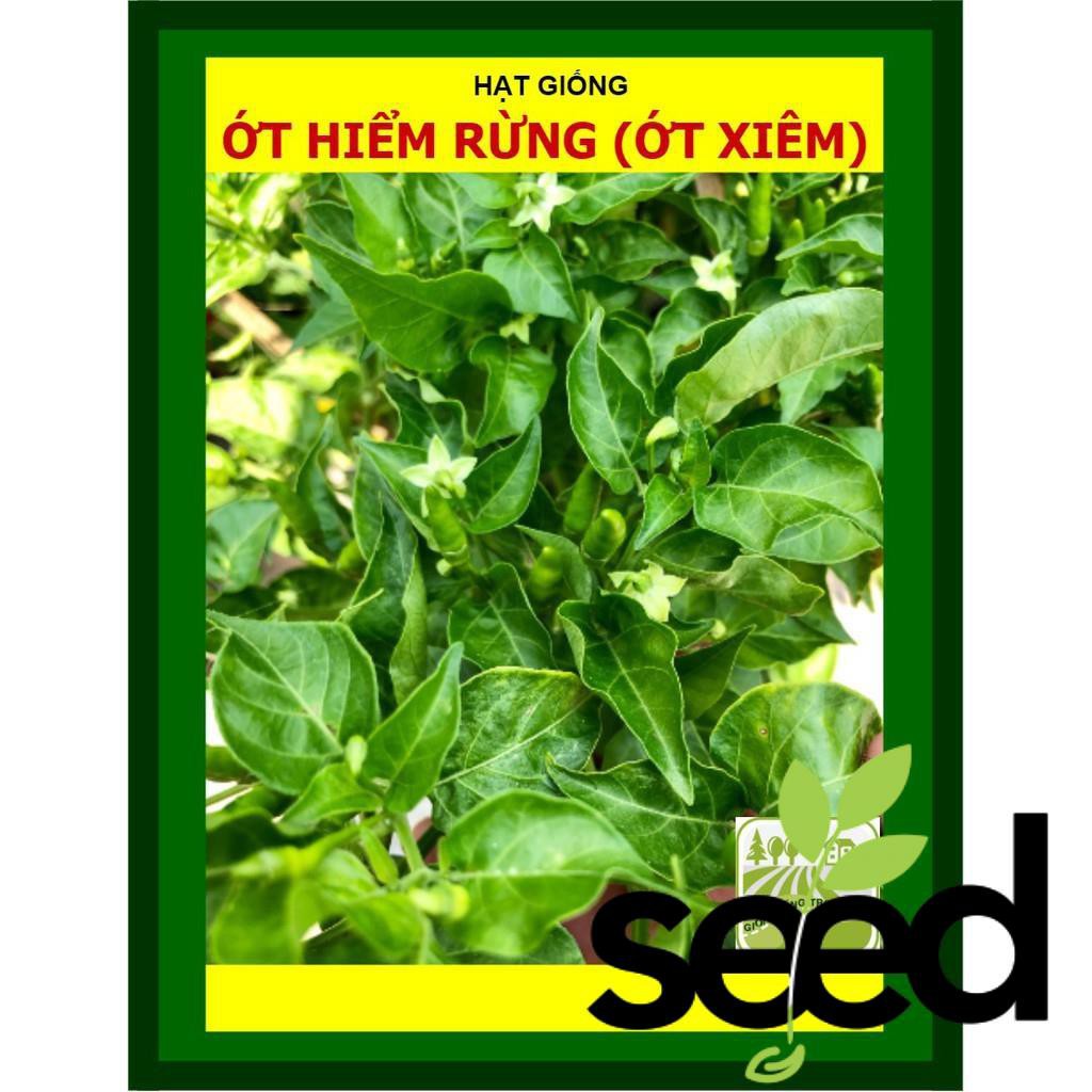 Hạt Giống Ớt Xiêm Ớt Hiểm Rừng