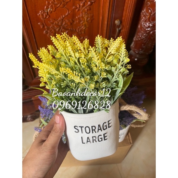 Chậu hoa để bàn -hoa nhí phong cách vintage sản phbao gồm chậu đã cắm sẵn hoa như hình , có thắt nơ dây thừng siêu yêu