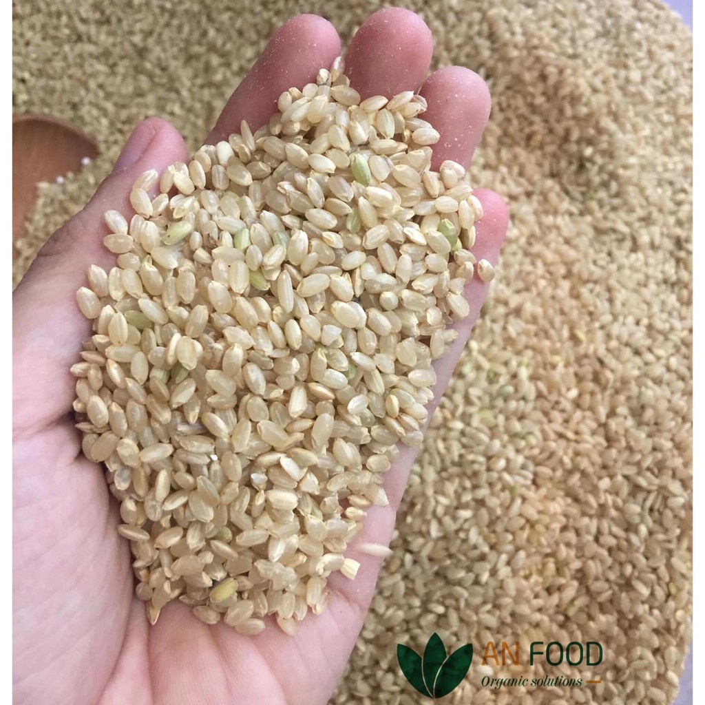 Gạo Lứt Nhật Japonoca An Food 1kg - XanhSam Organic