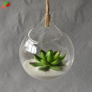 Chậu trồng cây thủy tinh cao cấp tiện dụng