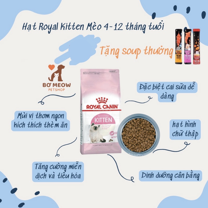 HẠT CHO MÈO CATSON, CATSEYE, CATSRANG, REFLEX, ROYAL KITTEN, AATAS