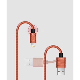 Cáp Lightning iWalk CST016i