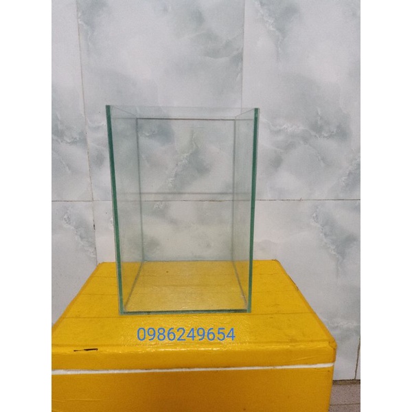 Bể cá mini