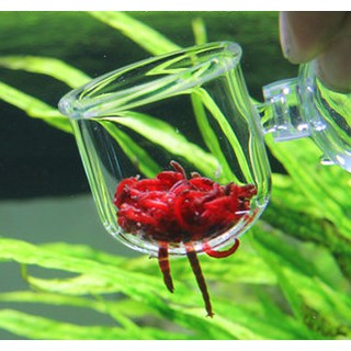 Cốc đựng giun cho cá ăn- Cốc trồng cây trong bể cá cảnh thủy sinh- Cốc đựng giun dán bể kính