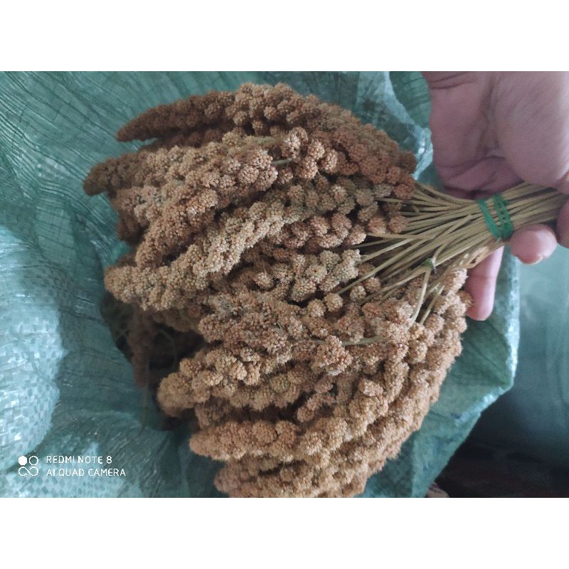 kê chùm 1kg