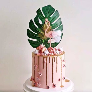 Lá trầu bà Nam Mỹ trang trí