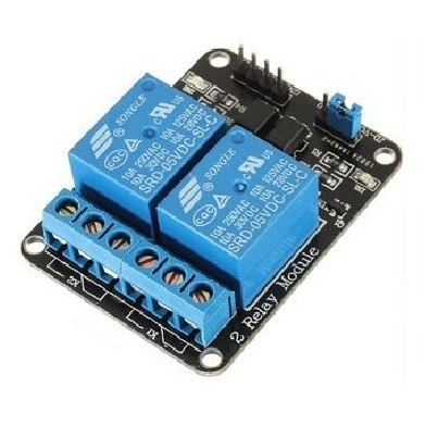 Module Relay 2 Kênh 5V 220V 10A