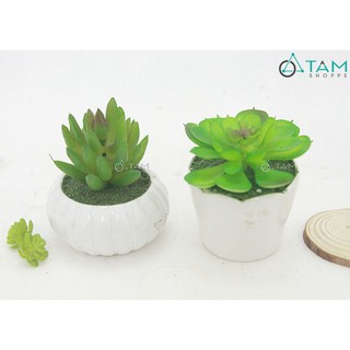 Chậu sen đá giả để bàn số 85 tttm