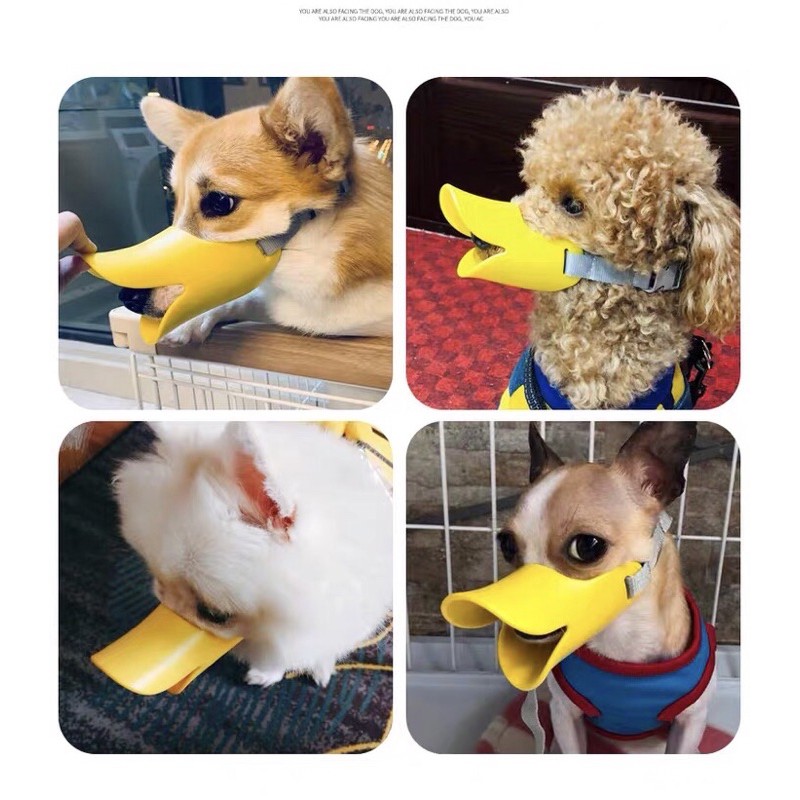 Rọ mõm hình mỏ vịt dành cho thú cưng