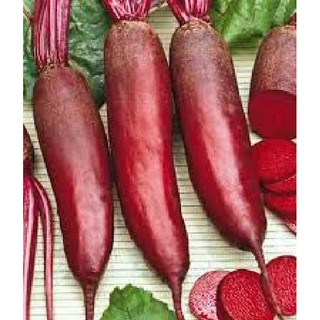 Hạt giống củ cải dài đỏ - Gói 20gram