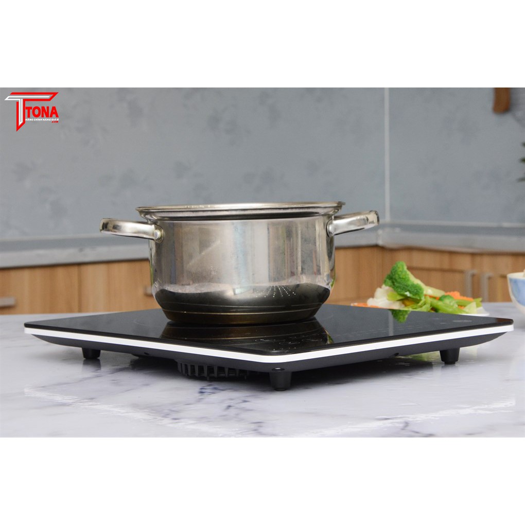 Bếp Từ Delites BDT01