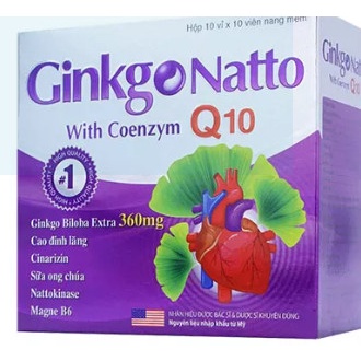 GINKO 360 NATTO Q10 H/100V