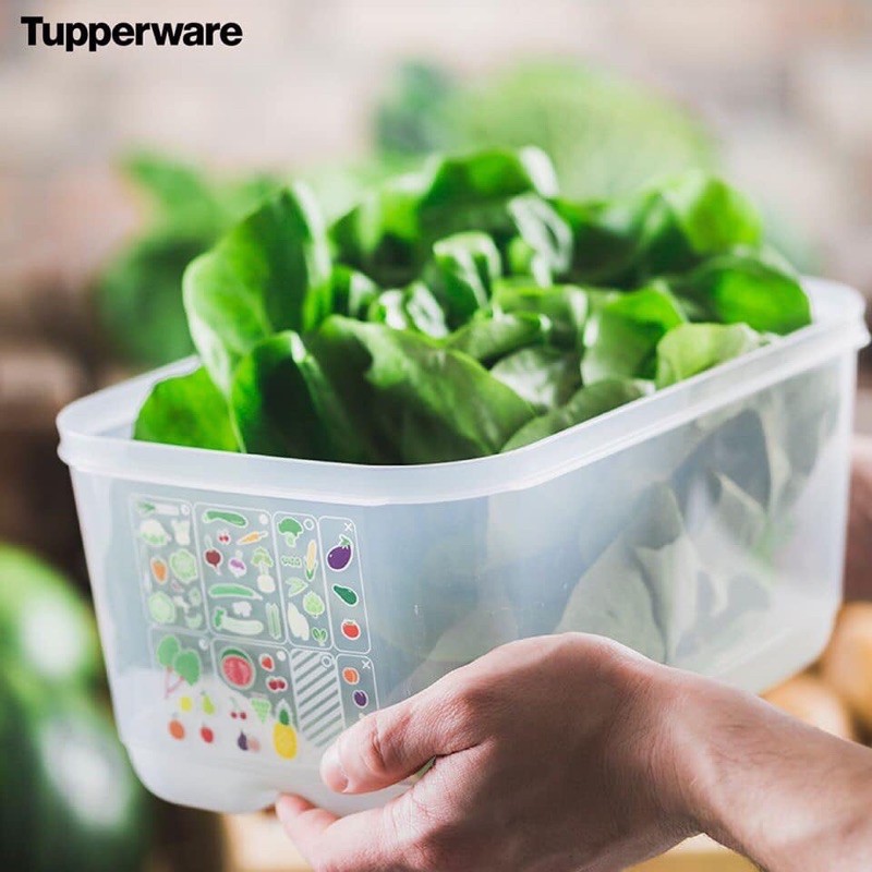 Tupperware Bộ hộp trữ mát Vensmart 4