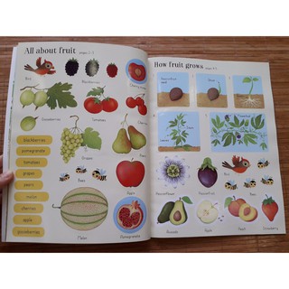 Đồ chơi - Usborne sticker book 1
