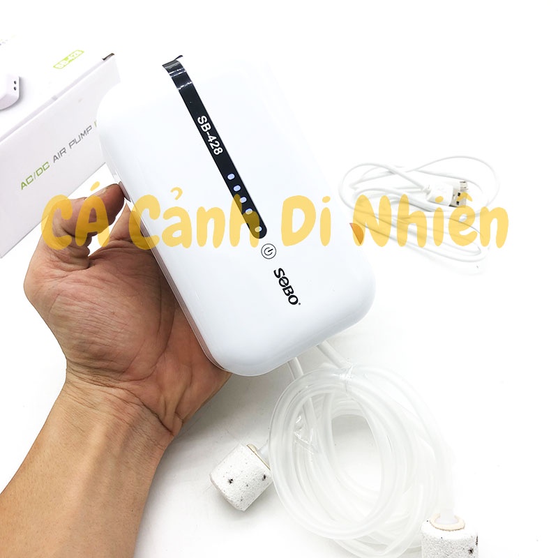 Máy Sủi Khí Oxy 2 Vòi Tích Điện SOBO SB-428 2W cho hồ cá kèm dây+đá sủi