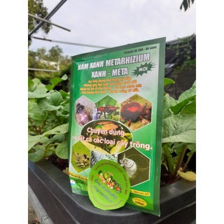 Nấm Xanh Metarhizium (Gói 100GR)  Xanh- Meta
