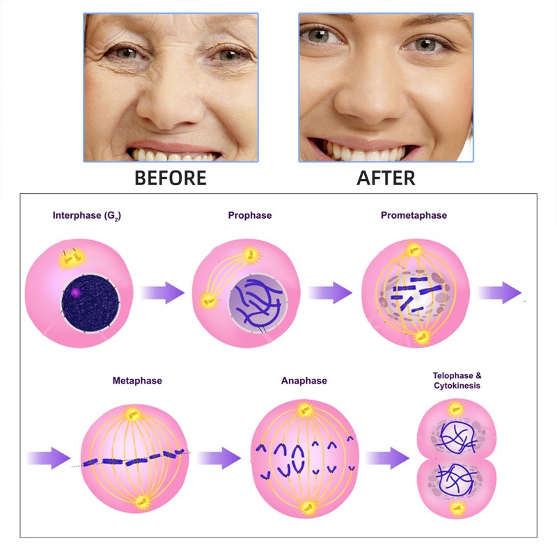 Tinh Chất Ampoule Pro-Collagen Và Ceramide Chống Lão Hóa Da