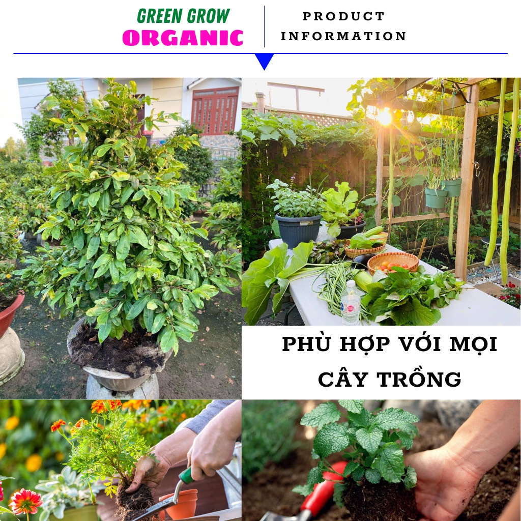 Phân đạm cá Humic Fish Emulsion phân bón hữu cơ vi sinh cho hoa Hồng rau sạch kích rễ mạnh to cành MS103 GREEN GROW