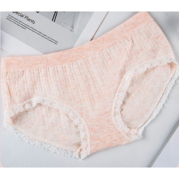 Set 3 Quần Lót Nữ Cotton Mu.i Kháng Khuẩn Xuất Nhật Loại 1 LOTNU05