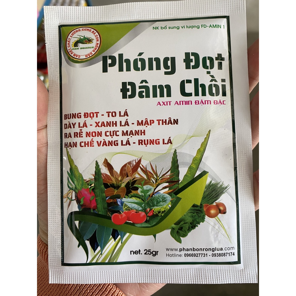 Phóng đọt nhanh - Đâm chồi mạnh