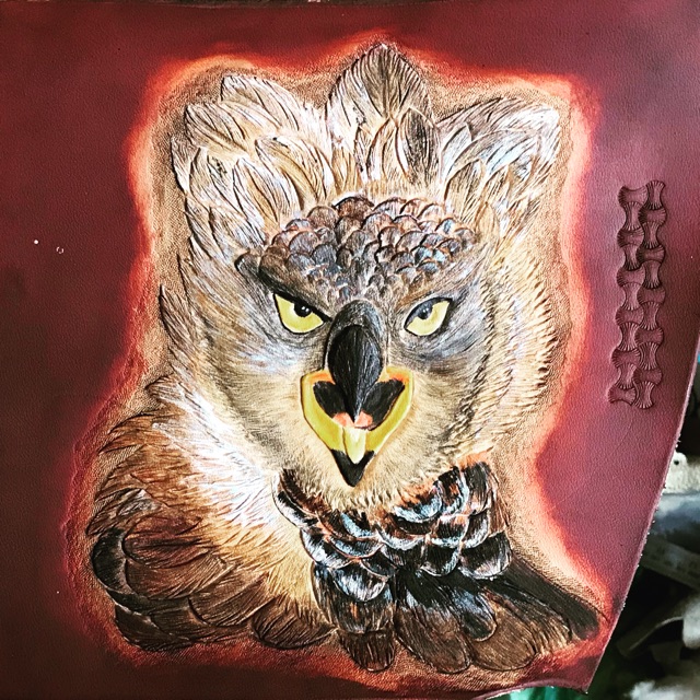 falconry_shop