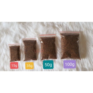 Sâu Gạo Sấy Khô