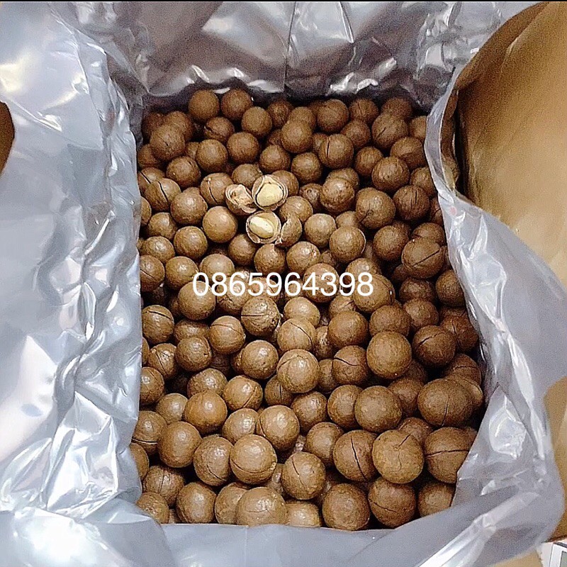Hạt macca Úc vỏ nứt tự nhiên ăn liền 500g | BigBuy360 - bigbuy360.vn