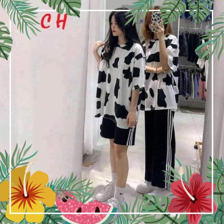Sét áo bò sữa + quần đen ATSHOP CHUYÊN SỈ LẺ THỜI TRANG