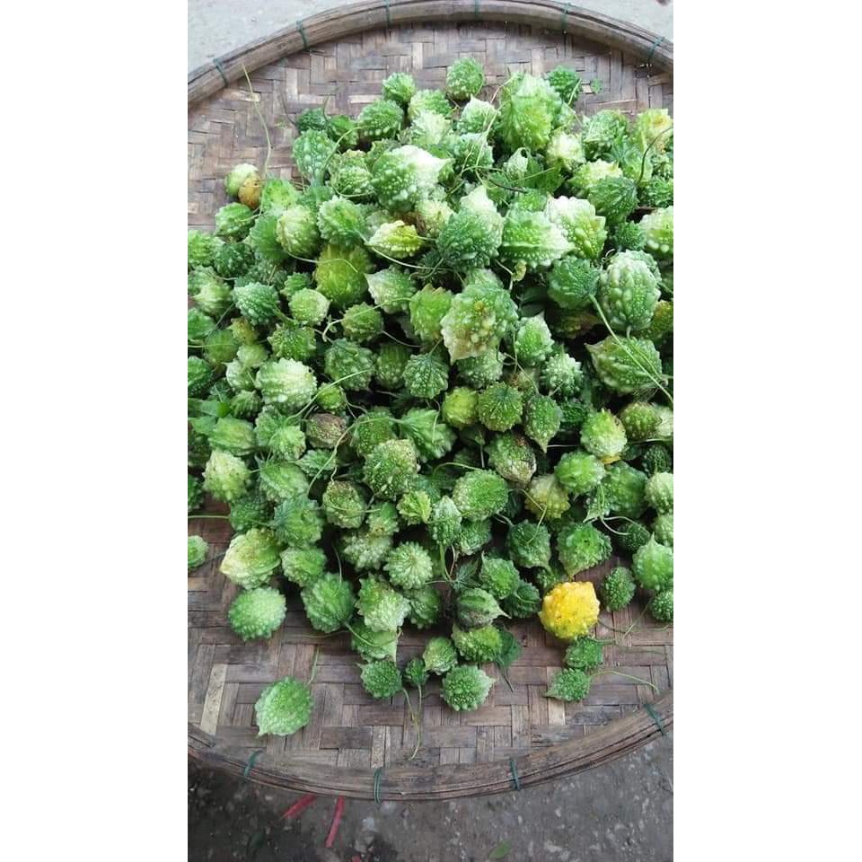 [Gói dùng thử] 200 gram  khổ qua rừng (mướp đắng rừng) khô hút chân không