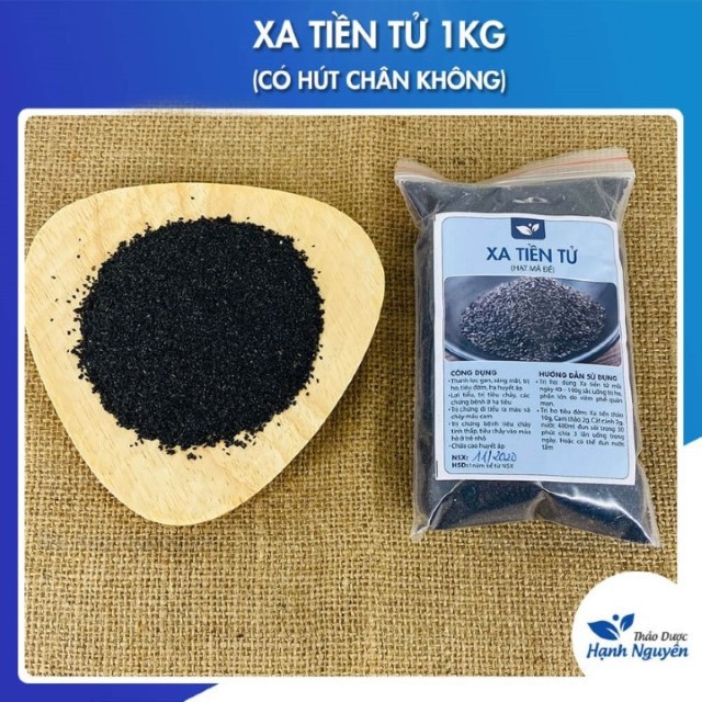 Xa tiền tử 1kg (Sa tiền tử,hạt mã đề) - Thảo Dược Hạnh Nguyên