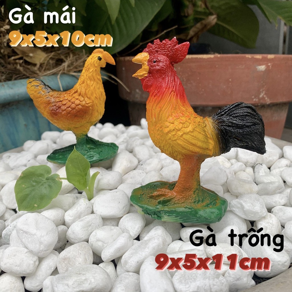 1 Con Gà Trang Trí Hồ Cá, Sân Vườn..