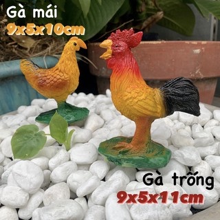 [CHỌN MÀU] Con Gà Trang Trí Hồ Cá, Sân Vườn...