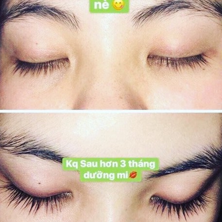 Dưỡng Mi SiQuill kích mọc dài mi, đen mi, triết xuất hữu cơ từ lô hội và hoa bưởi rừng | BigBuy360 - bigbuy360.vn