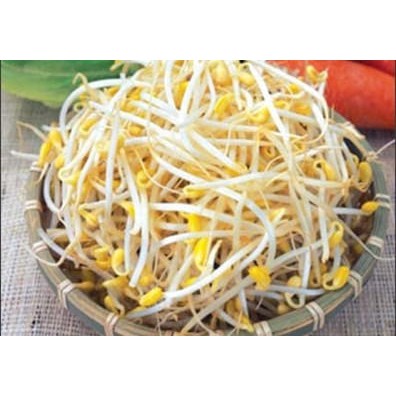 Giá đỗ tương Hàn Quốc -1kg.- Chỉ giao khu vực hà Nội