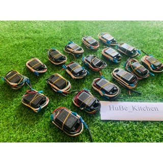 IC đánh lửa bếp GAS Âm