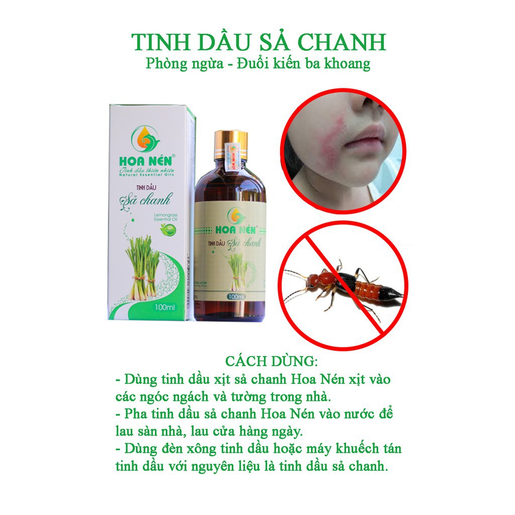 Tinh dầu Sả chanh 100ml - Hoa Nén - FREESHIP 99k