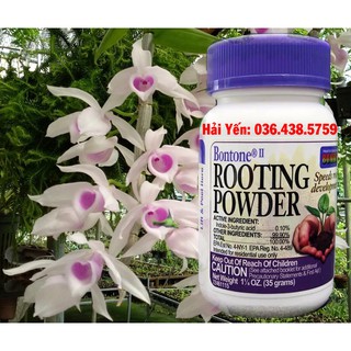 Bột siêu kích rễ cho cây trồng rooting powder hộp 35g