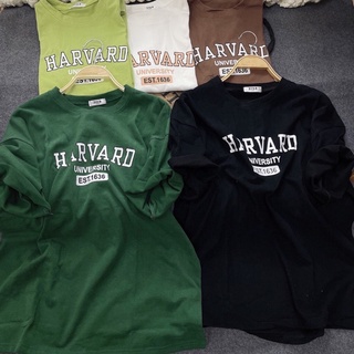 Áo thun tay lỡ cotton form rộng Harvard / Áo phông 3158 Unisex