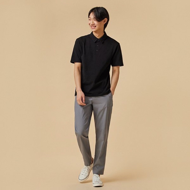 Áo polo JaJu Hàn Quốc chính hãng