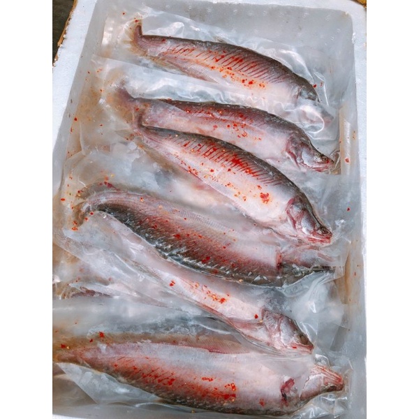 1 KÍ 4 CON🐠🐠CÁ THÁC LÁC RÚT XƯƠNG 🐠🐠 GIAO HỎA TỐC HCM