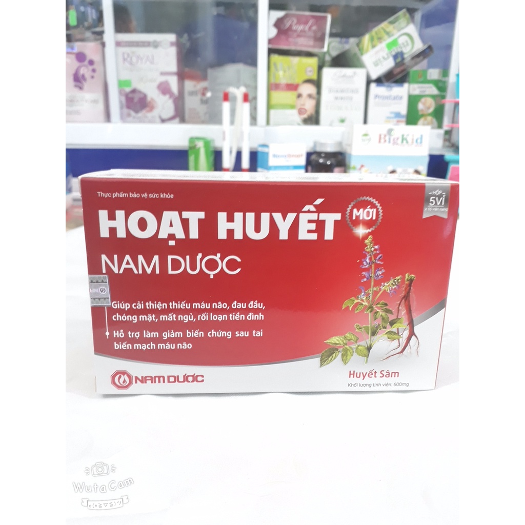 (CHÍNH HÃNG) Hoạt huyết Nam Dược, hỗ trợ cải thiện thiếu máu não, đau đầu, chóng mặt, mất ngủ