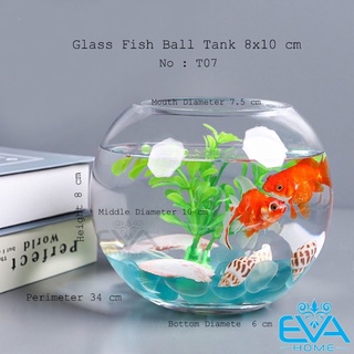 Chậu thuỷ tinh dùng làm hồ cá bể cá để bàn dáng tròn bầu t07 round glass aquarium size 10 x 8 cm