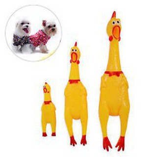 Combo 25 đồ chơi hình con gà luộc dài 30cm