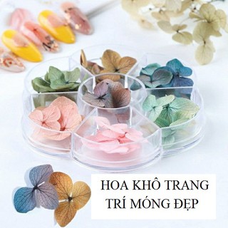 Hoa khô trang trí móng tay