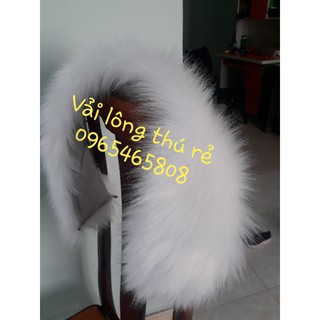 Viền lông mũ - lông xịn