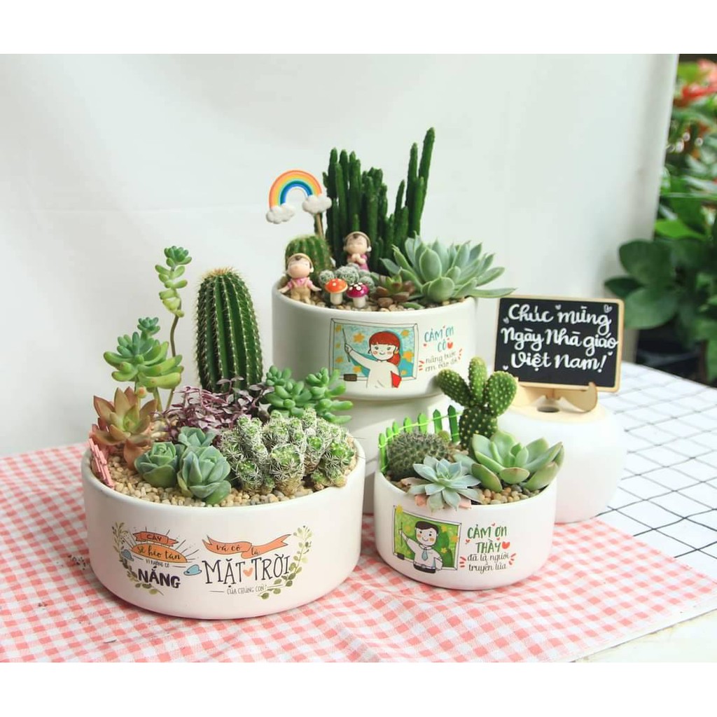 Chậu Sen mix Xương rồng in hình vẽ - Tặng thiệp, thẻ tên, đất, sỏi - Quà tặng cây xanh