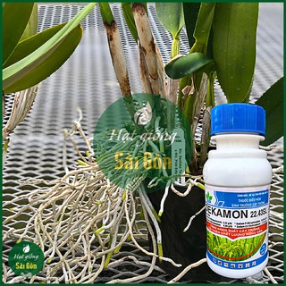Phân Bón Lá DEKAMON 22.43SL Chai 100ml